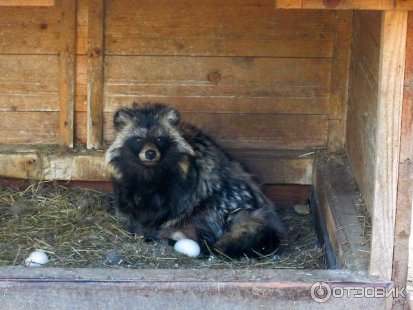 Развлекательный комплекс В некотором царстве (Россия, Рязань) фото