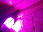Светодиодная лампа Uniel LED для растений фото