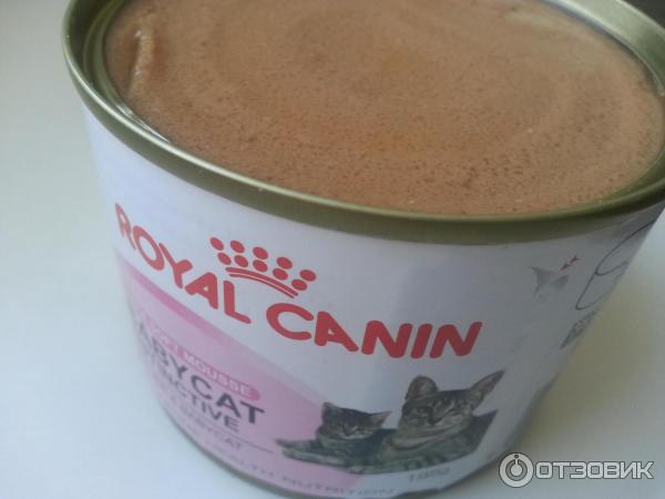 Паштет для котят Royal Canin Babycat Instinctive фото