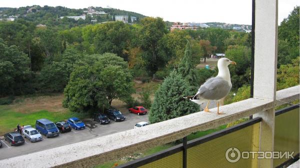 Морской курорт Святые Константин и Елена (Болгария, Варна) фото