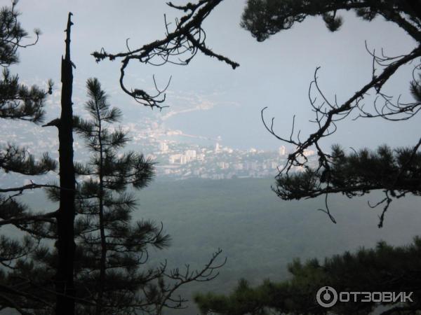 Экскурсия на гору Ай-Петри (Россия, Крым) фото