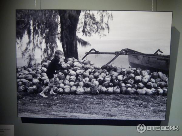 Фотовыставка Ромы Зверя Моменты в галерее Эрарта, Россия, Санкт-Петербург - Остров Гили, 2013 г., 70х50 см