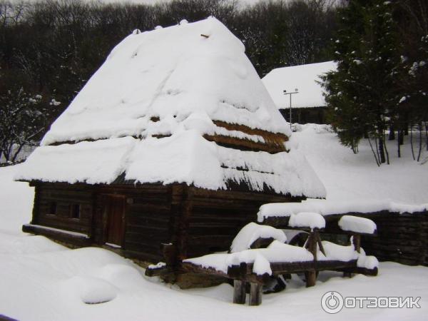 Отдых в г. Киев (Украина) фото