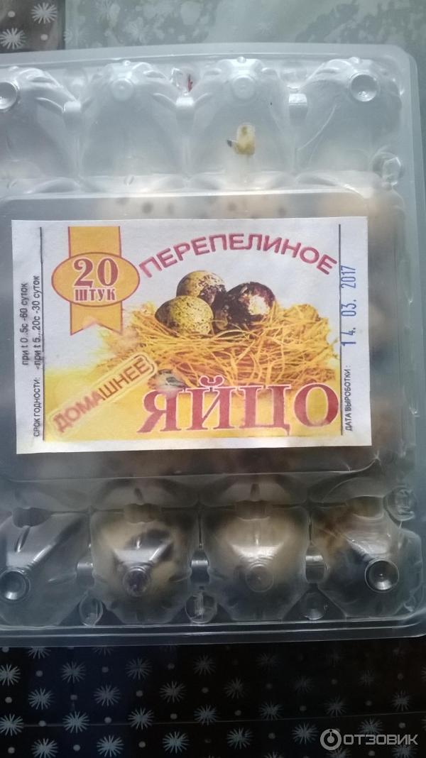 Перепелиные яйца фото
