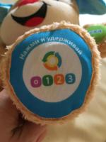 Музыкальная игрушка Fisher-Price "Ученый щенок" фото