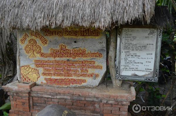 Отдых на Бали (Индонезия) фото