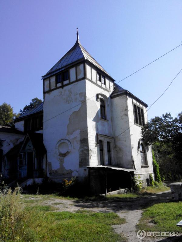 Шаровский дворцово-парковый комплекс (Украина, пгт. Шаровка) фото