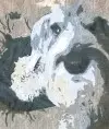 apercev