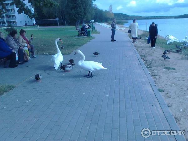 Санаторий Белорусочка (Беларусь, Ждановичи) фото