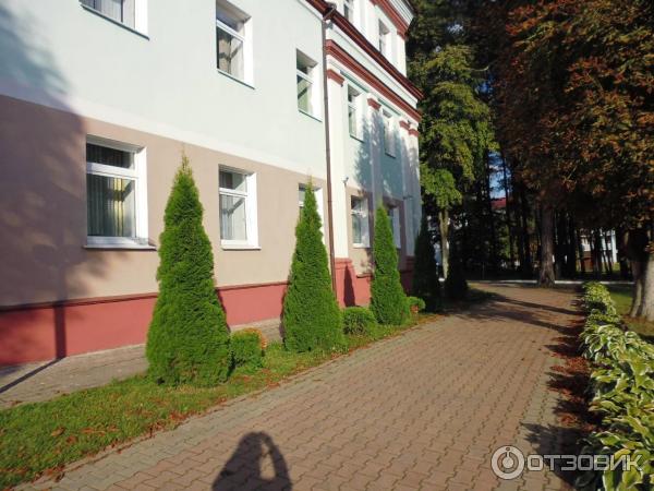 Санаторий Белорусочка (Беларусь, Ждановичи) фото