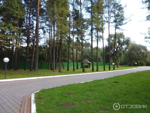 Санаторий Белорусочка (Беларусь, Ждановичи) фото