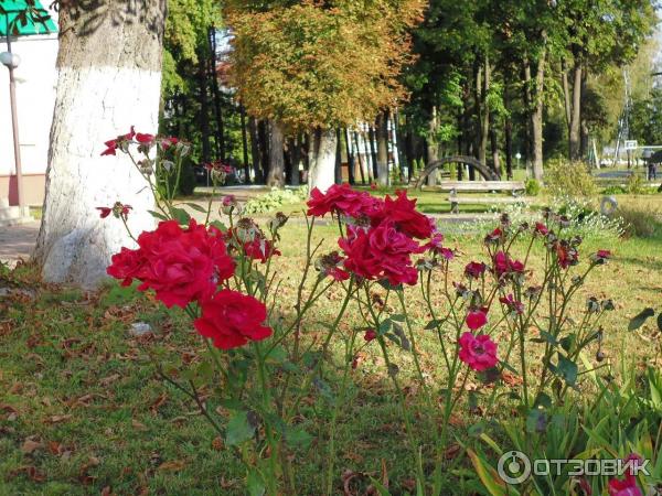 Санаторий Белорусочка (Беларусь, Ждановичи) фото