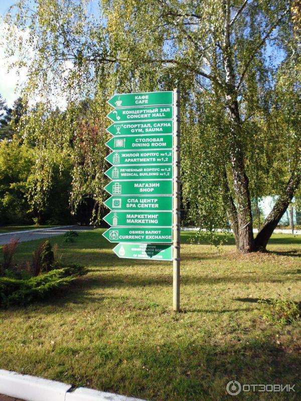 Санаторий Белорусочка (Беларусь, Ждановичи) фото