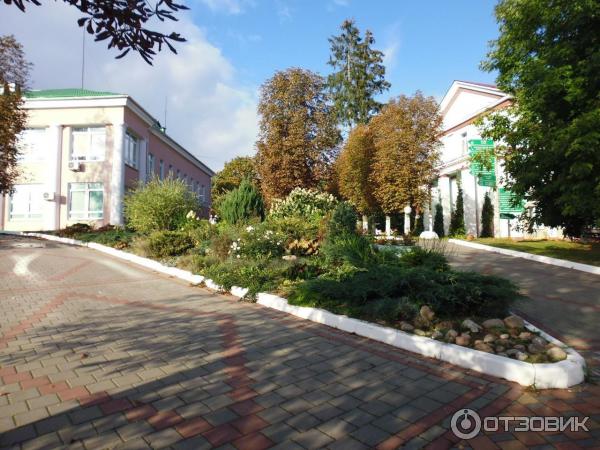 Санаторий Белорусочка (Беларусь, Ждановичи) фото