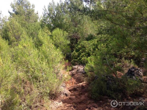 Пеший маршрут Олюдениз - Каякей (Турция, Фетхие) фото