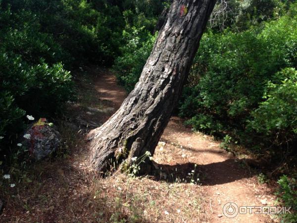 Пеший маршрут Олюдениз - Каякей (Турция, Фетхие) фото