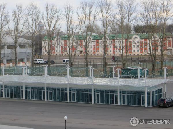 Стадион Зенит Арена (Россия, Санкт-Петербург) фото