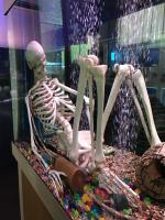 Океанариум "Морской аквариум на Чистых прудах" (Россия, Москва) фото