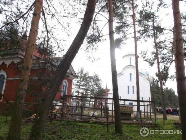Перынский Рождества Богородицы скит (Россия, Великий Новгород) фото