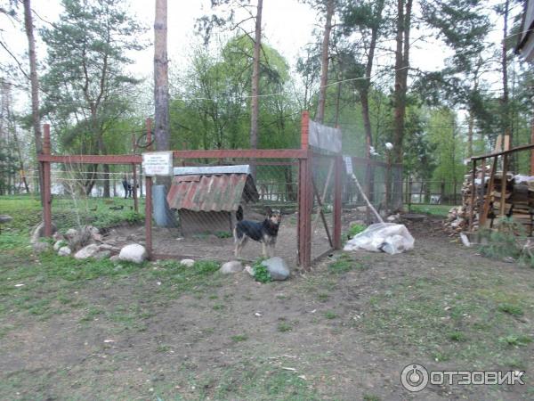 Перынский Рождества Богородицы скит (Россия, Великий Новгород) фото