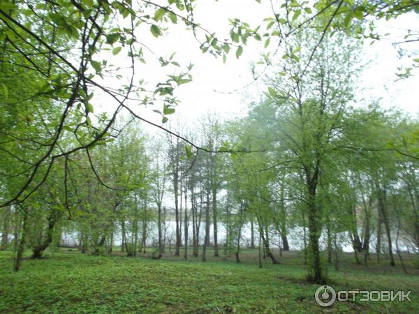 Перынский Рождества Богородицы скит (Россия, Великий Новгород) фото
