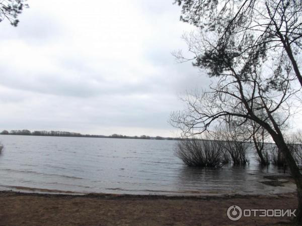 Перынский Рождества Богородицы скит (Россия, Великий Новгород) фото