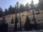 Однодневный авиатур в Израиль (Израиль, Иерусалимский округ) фото