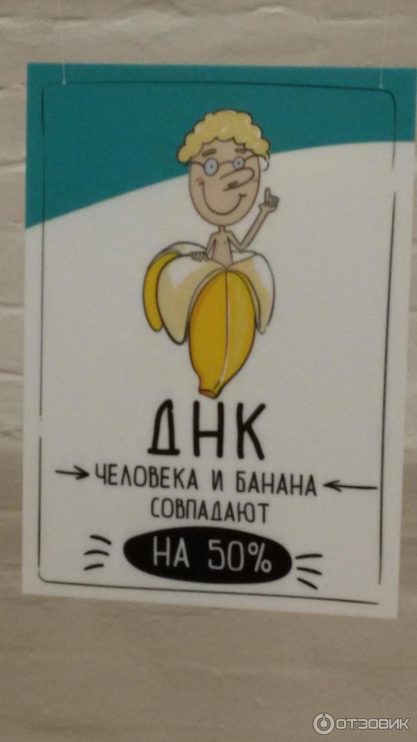 Выставка рекордов и невероятных фактов Титикака в г. Архангельске фото
