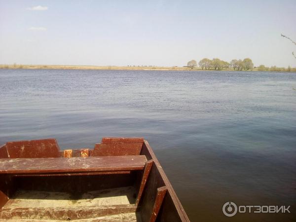 Музей Усадьба Есениных (Россия, Рязанская область, село Константиново) фото