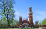 Замок принцессы Ольденбургской (Россия, Рамонь) фото