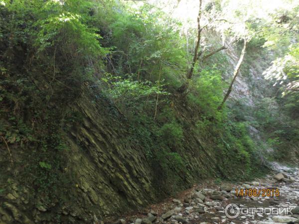 Отдых в пос. Лазаревское (Россия, Сочи) фото