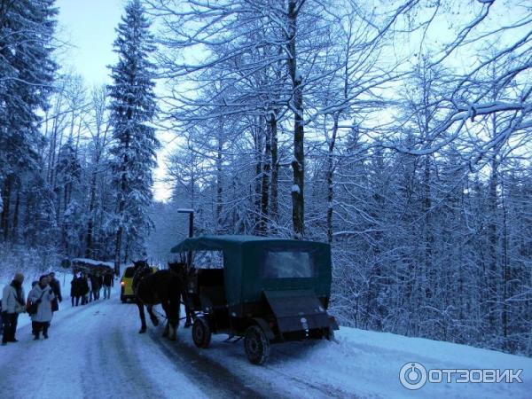 Экскурсия в Замок Нойшванштайн (Германия, Швангау) фото