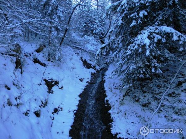 Экскурсия в Замок Нойшванштайн (Германия, Швангау) фото