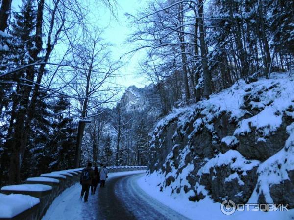 Экскурсия в Замок Нойшванштайн (Германия, Швангау) фото