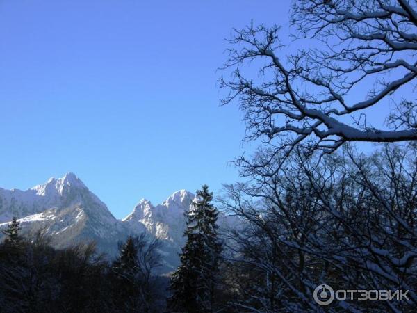 Экскурсия в Замок Нойшванштайн (Германия, Швангау) фото