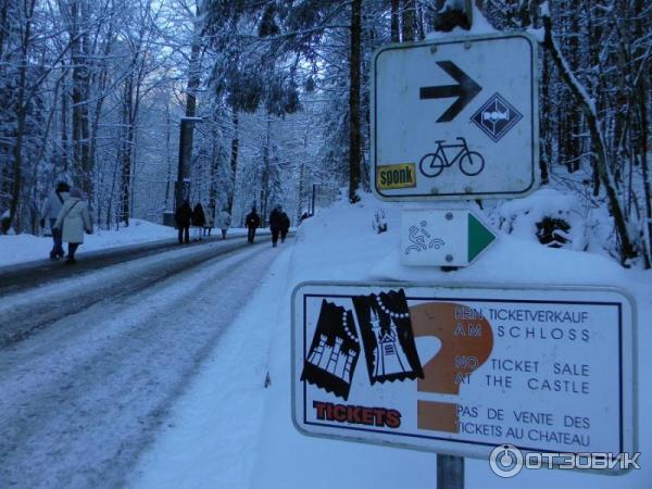 Экскурсия в Замок Нойшванштайн (Германия, Швангау) фото