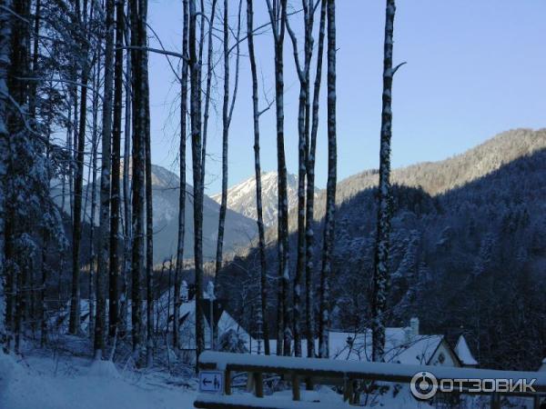 Экскурсия в Замок Нойшванштайн (Германия, Швангау) фото