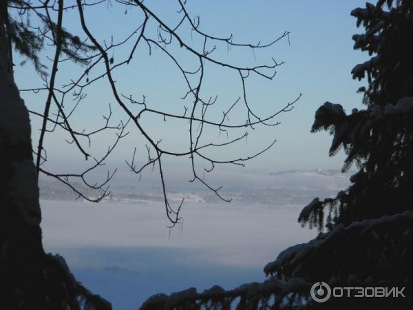 Экскурсия в Замок Нойшванштайн (Германия, Швангау) фото