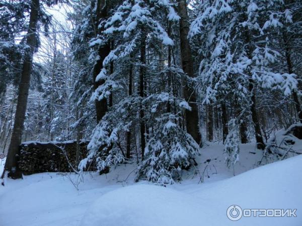 Экскурсия в Замок Нойшванштайн (Германия, Швангау) фото