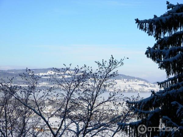 Экскурсия в Замок Нойшванштайн (Германия, Швангау) фото