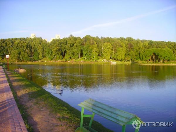 Музей-заповедник Царицыно (Россия, Москва) фото