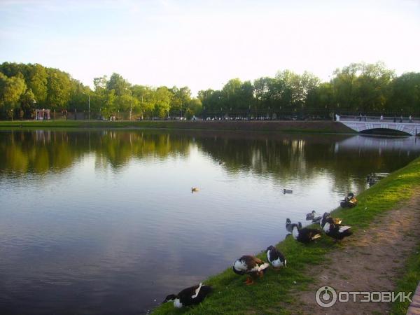 Музей-заповедник Царицыно (Россия, Москва) фото