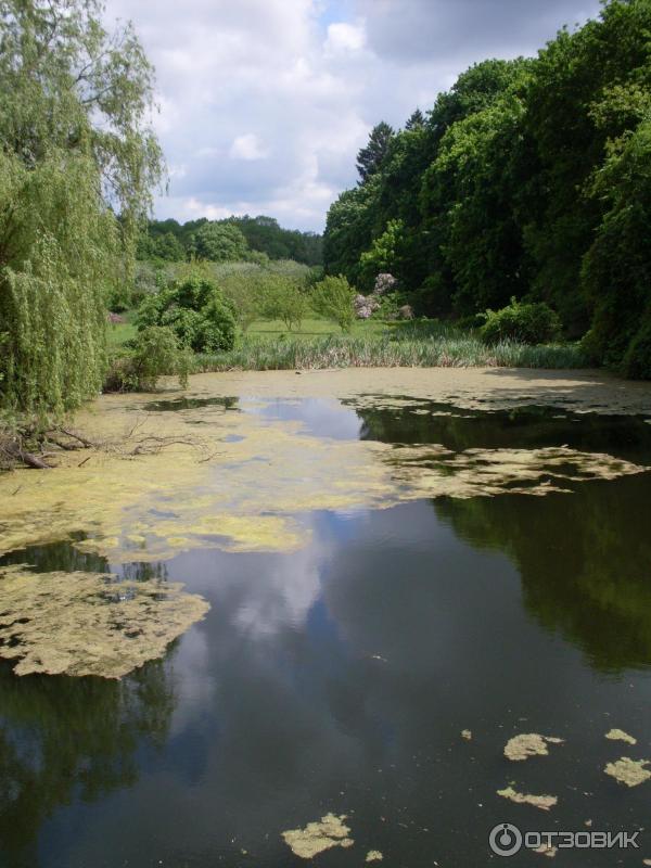 Шаровский дворцово-парковый комплекс (Украина, пгт. Шаровка) фото