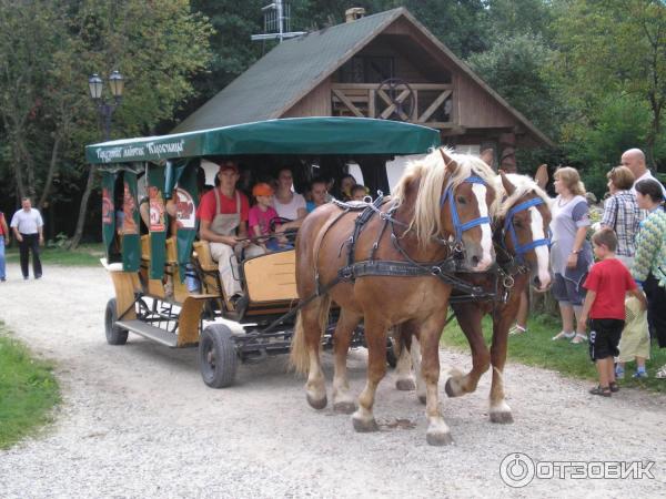 Агротуристический комплекс Коробчицы (Беларусь, Гродненская область) фото