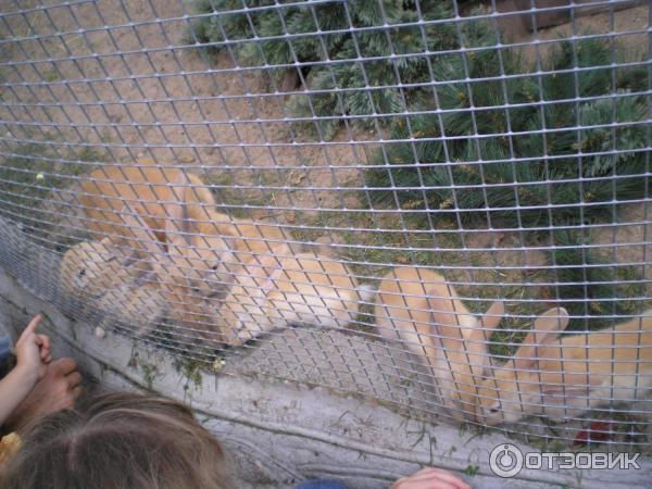 Агротуристический комплекс Коробчицы (Беларусь, Гродненская область) фото