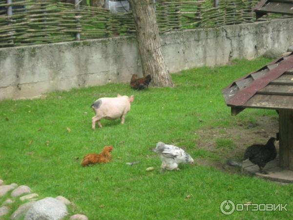 Агротуристический комплекс Коробчицы (Беларусь, Гродненская область) фото