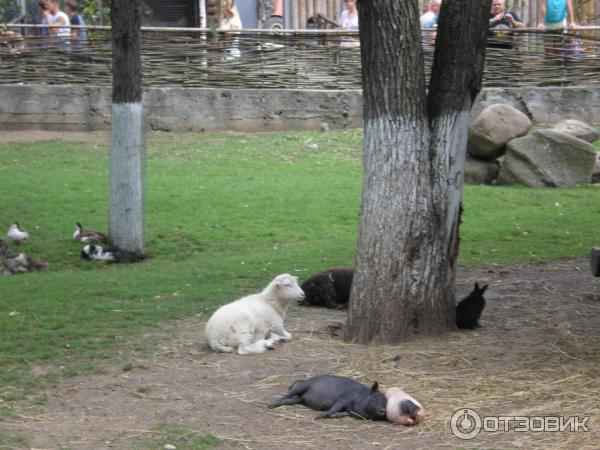 Агротуристический комплекс Коробчицы (Беларусь, Гродненская область) фото