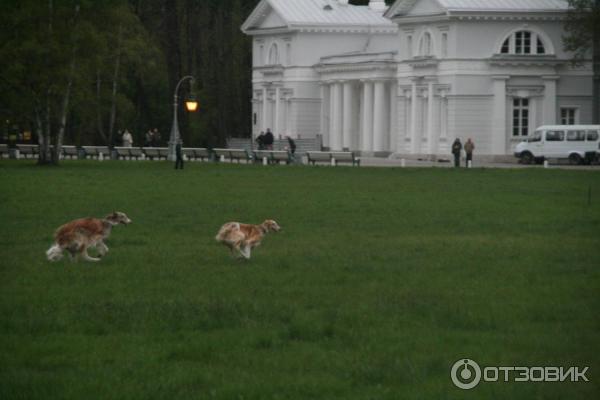 Ночь музеев в Санкт-Петербурге (Россия, Санкт-Петербург) фото