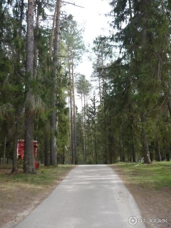 База отдыха Спутник (Россия, Нижегородская область) фото