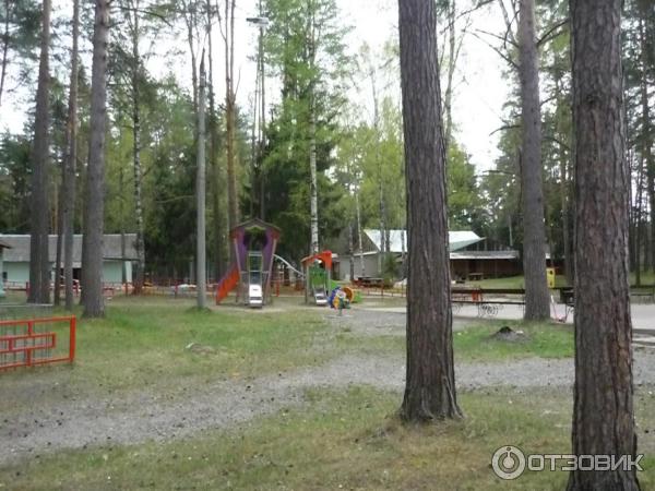 База отдыха Спутник (Россия, Нижегородская область) фото